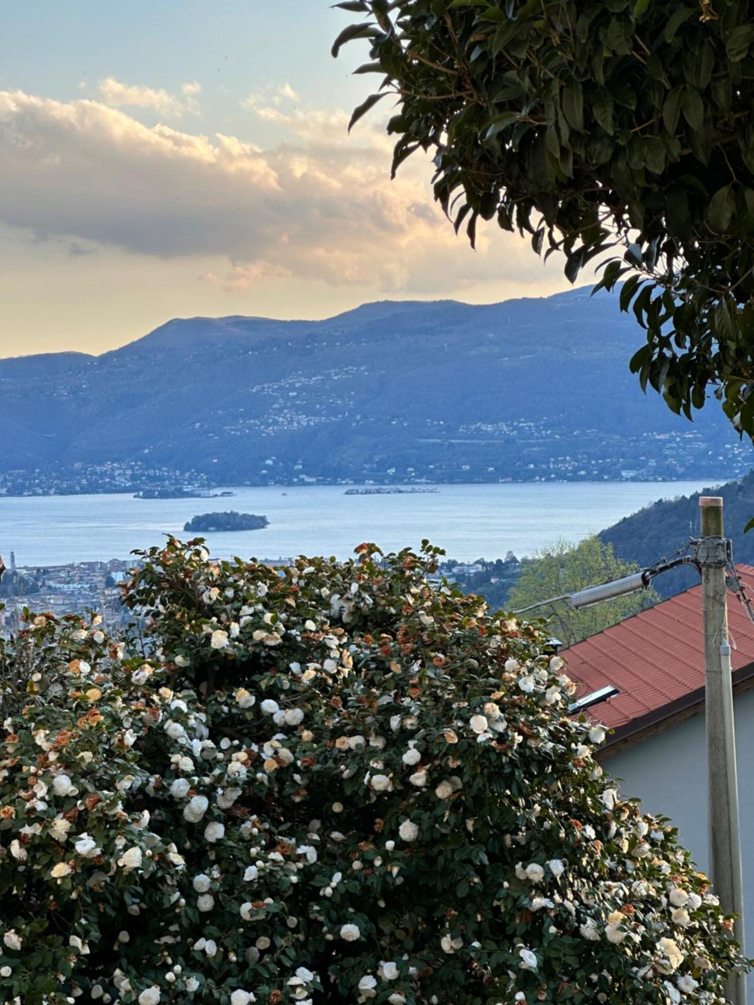 Villa Simonetta Bee Eksteriør bilde